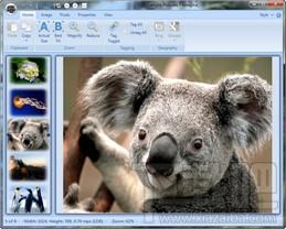 Imagina,图像浏览器,Imagina下载,Imagina官方下载